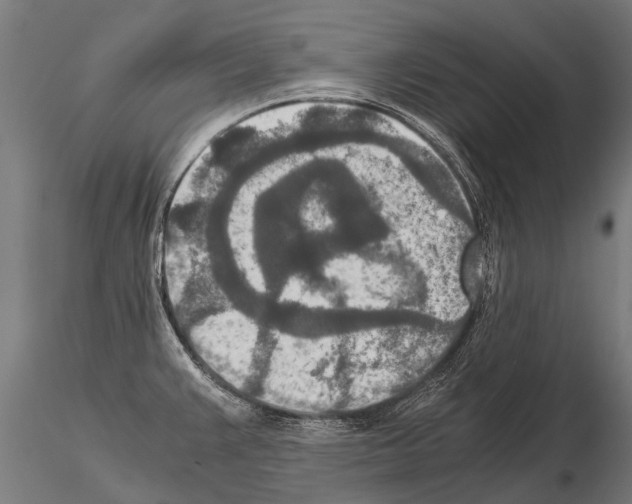 X0000115211383200912091148