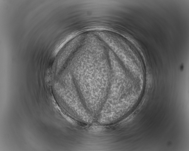 X0000115211385200912091148