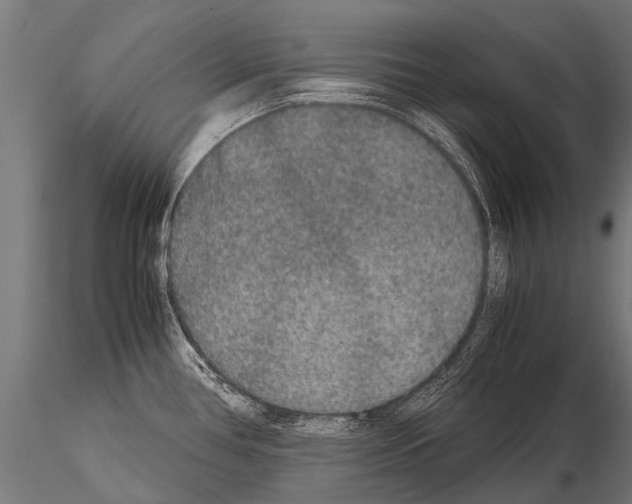 X0000115211386200912091148