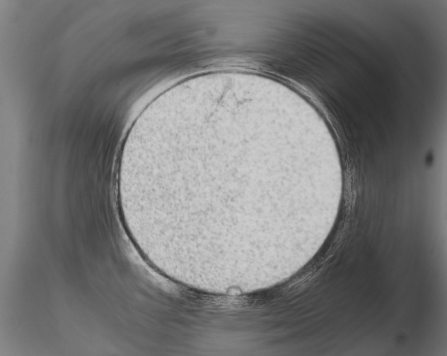 X0000115211387200912091148