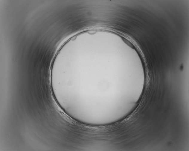 X0000115211388200912091148