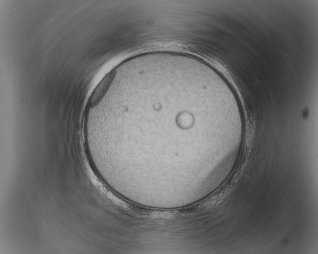 X0000115211389200912091148