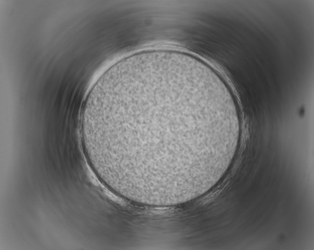 X0000115211390200912091148