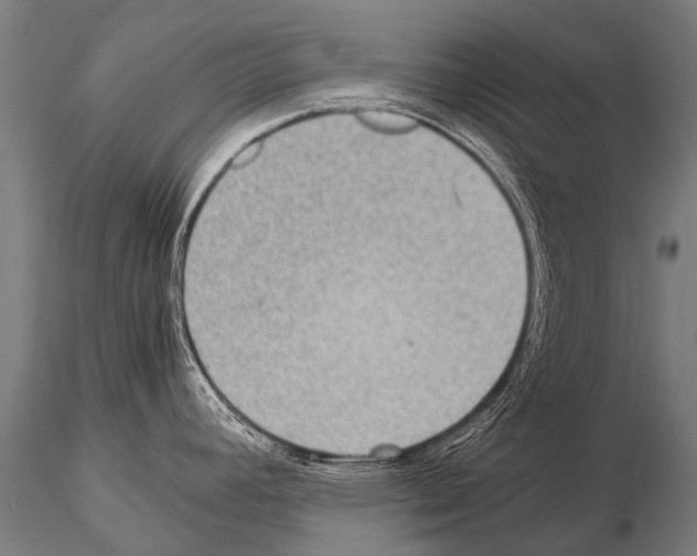 X0000115211392200912091148