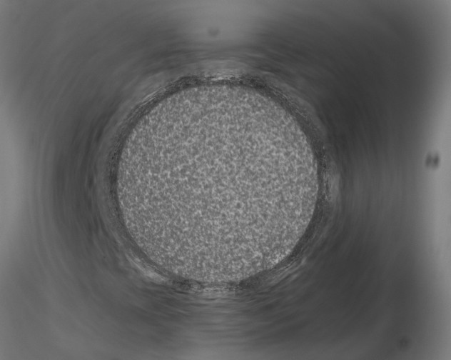 X0000115211393200912091147