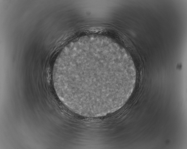 X0000115211394200912091147