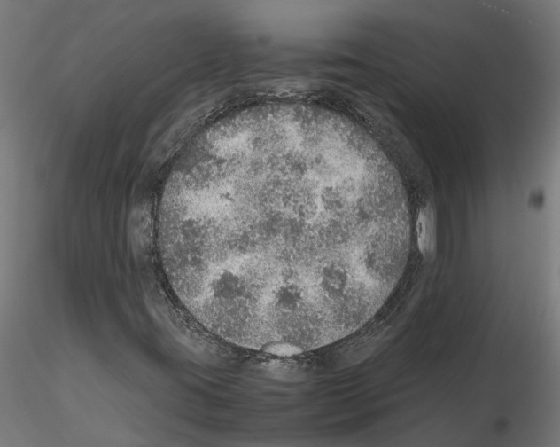 X0000115211395200912091147