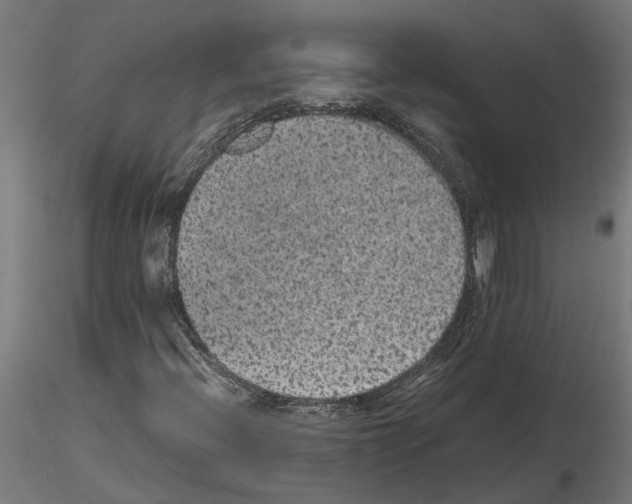 X0000115211396200912091147