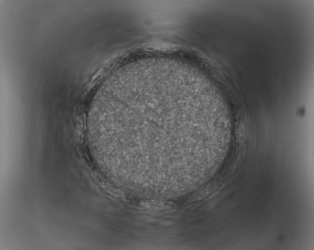 X0000115211397200912091147