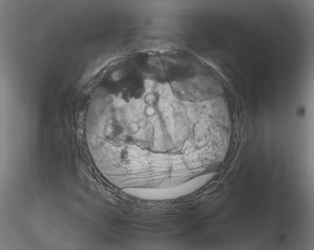 X0000115211399200912091147