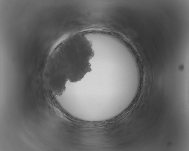 X0000115211400200912091147