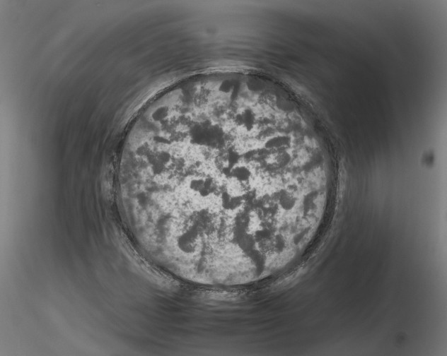 X0000115211401200912091147