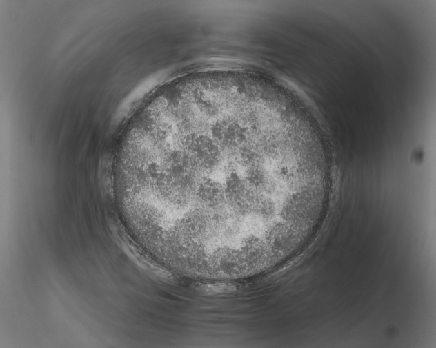 X0000115211403200912091147