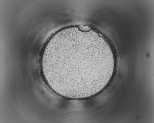 X0000115211404200912091147