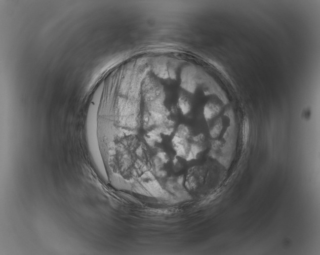 X0000115211405200912091147