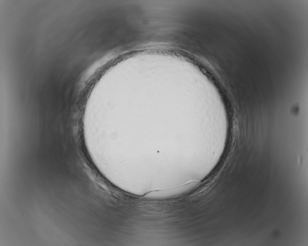 X0000115211406200912091147