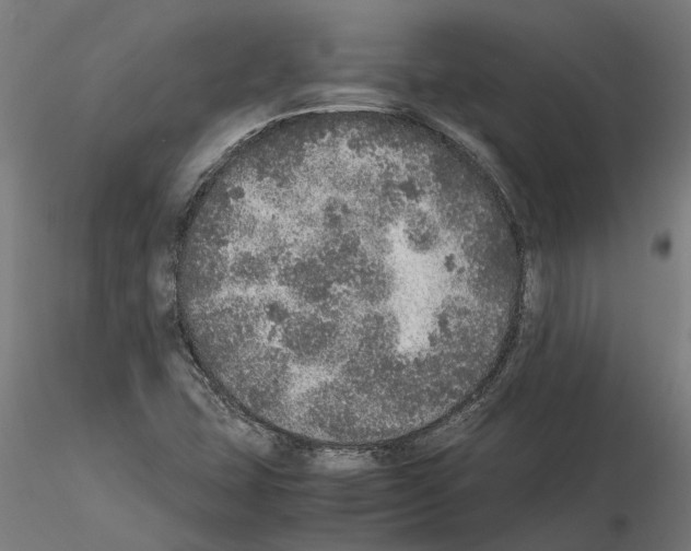 X0000115211407200912091147