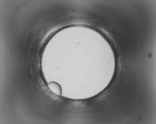 X0000115211408200912091147