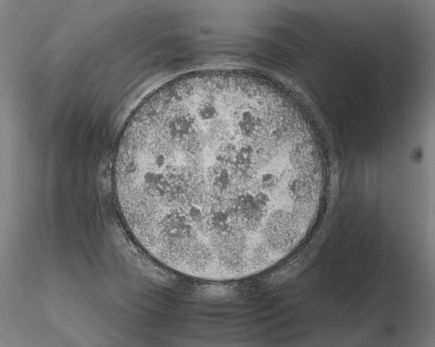 X0000115211409200912091147