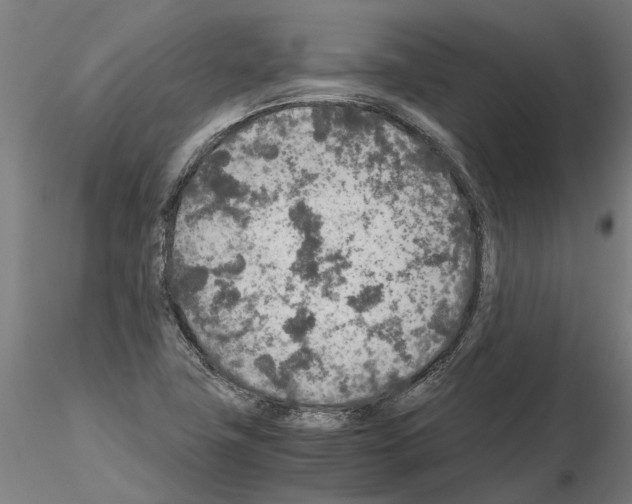 X0000115211411200912091147