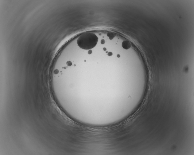 X0000115211412200912091147