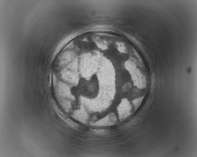 X0000115211413200912091147