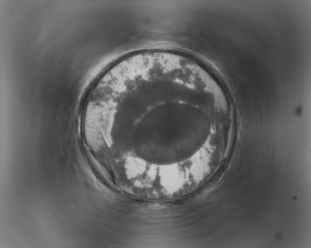 X0000115211414200912091147