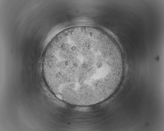 X0000115211415200912091147