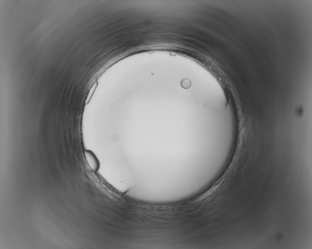 X0000115211417200912091147