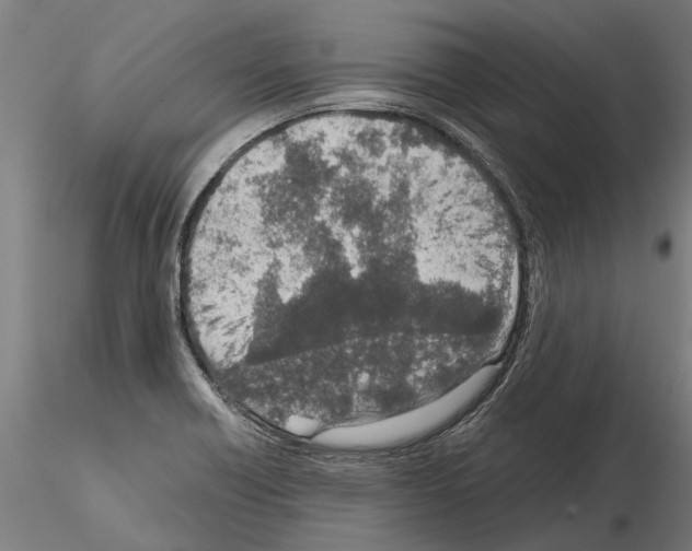 X0000115211418200912091147