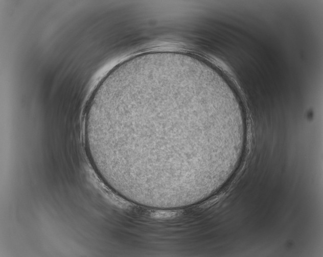 X0000115211419200912091147