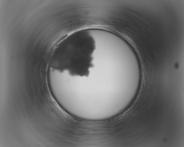 X0000115211420200912091147