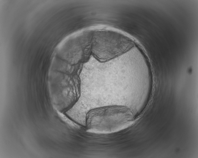 X0000115211421200912091147