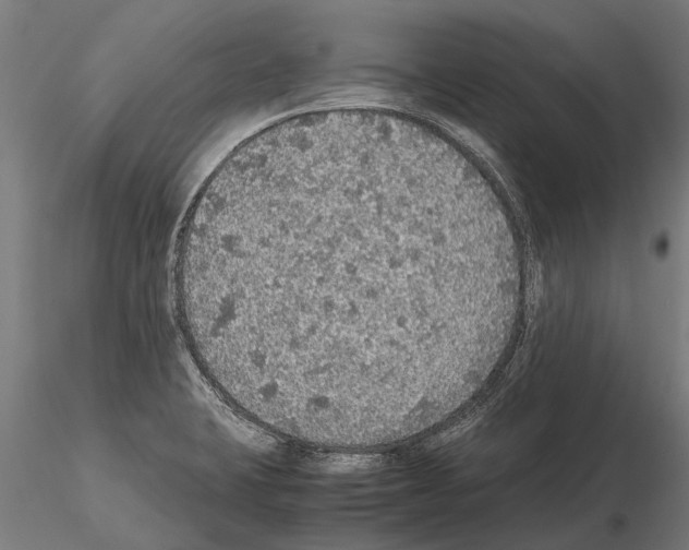 X0000115211423200912091147