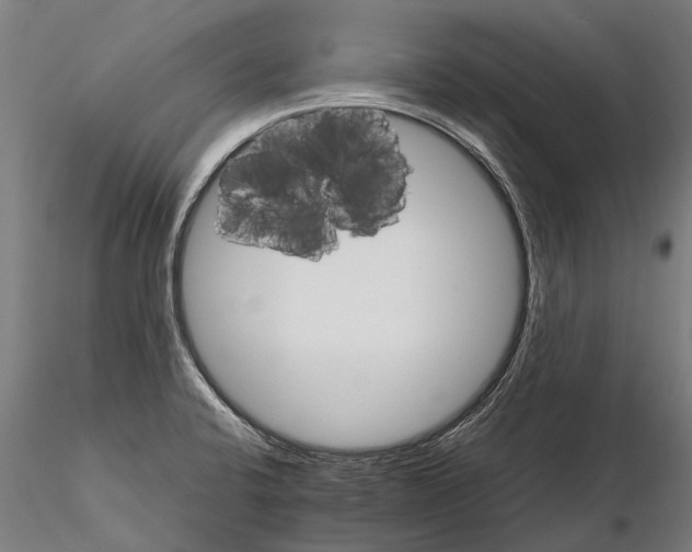 X0000115211424200912091147