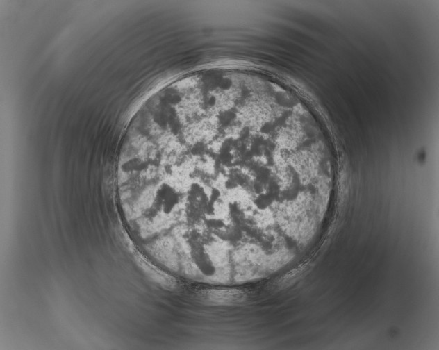 X0000115211425200912091147