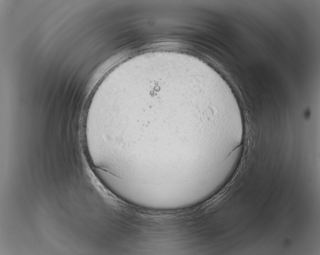 X0000115211426200912091147