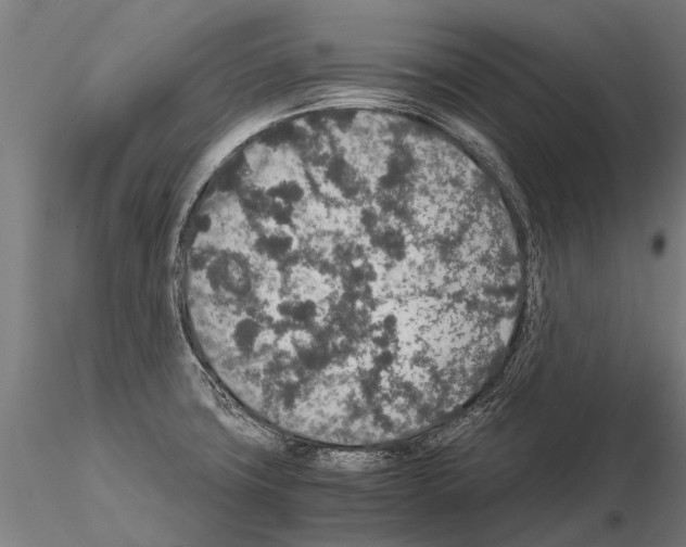 X0000115211427200912091148