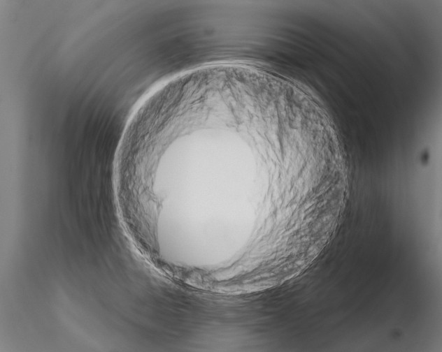 X0000115211428200912091148