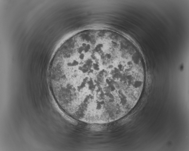 X0000115211429200912091148