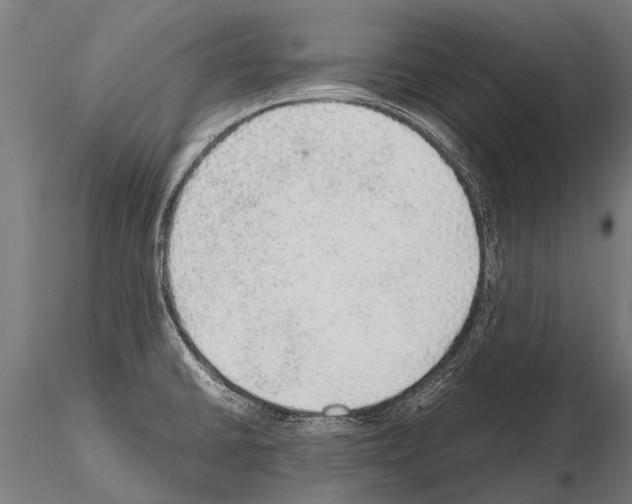 X0000115211430200912091148