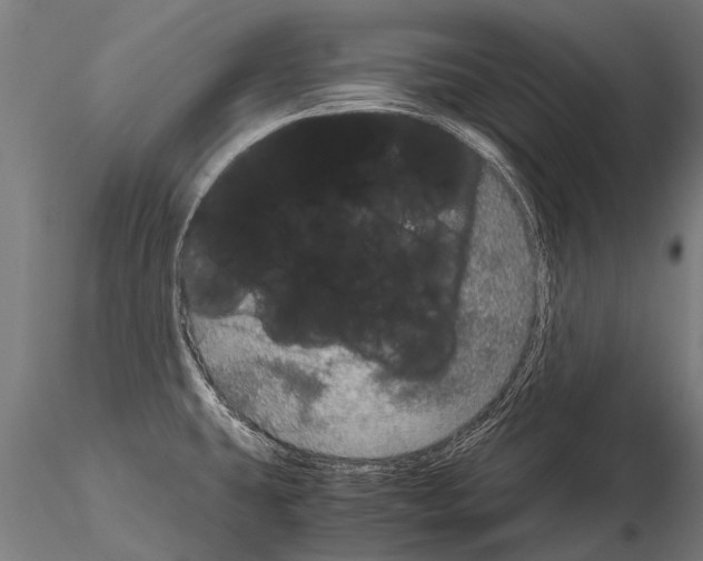 X0000115211431200912091148