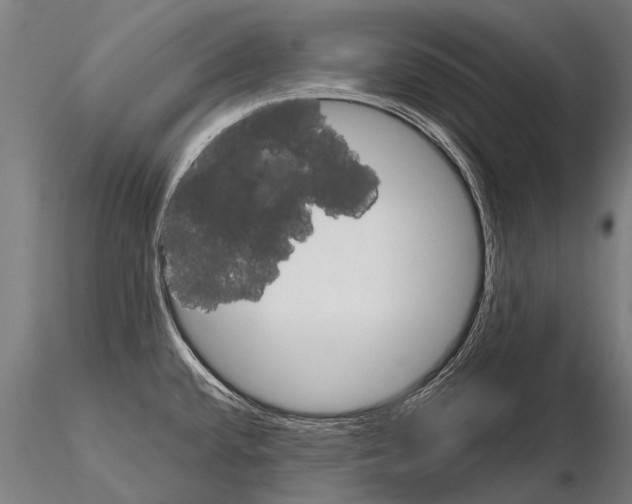 X0000115211432200912091148