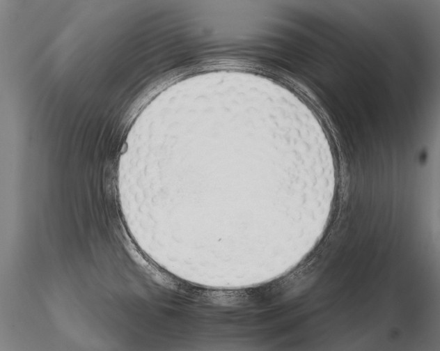 X0000115211433200912091148