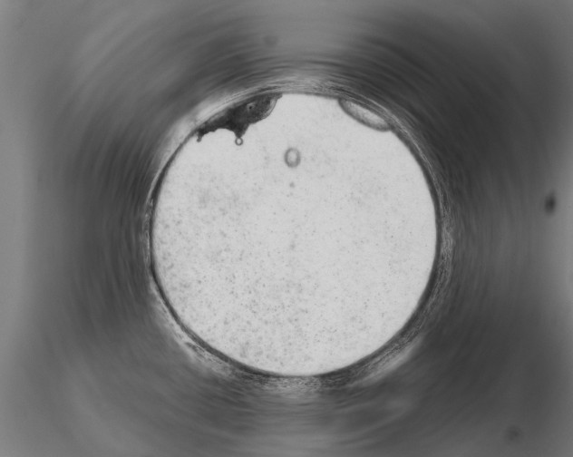 X0000115211434200912091148