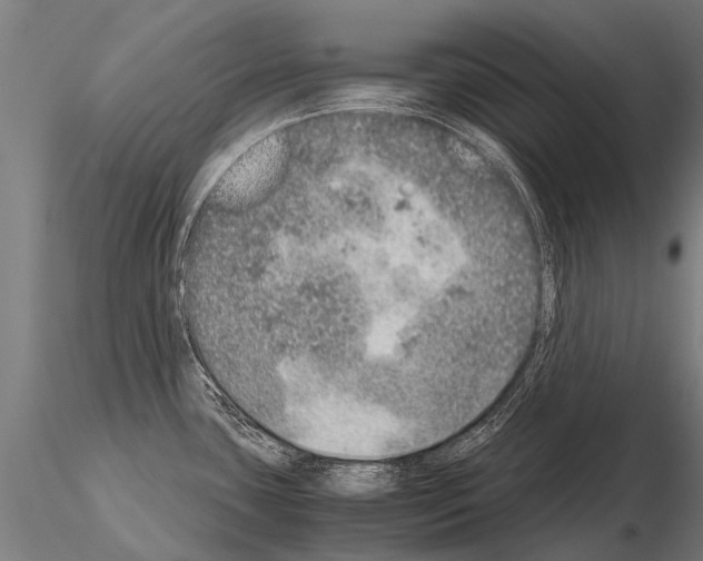 X0000115211435200912091148