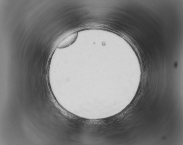 X0000115211437200912091148