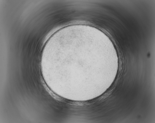 X0000115211438200912091148