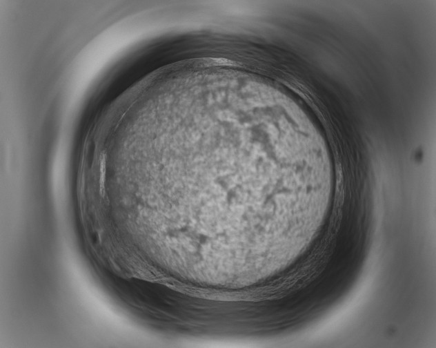 X0000115211439200912091148