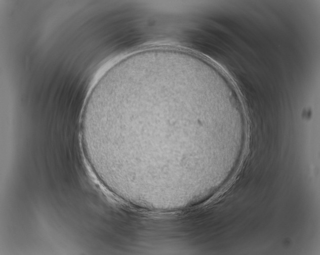 X0000115211440200912091148